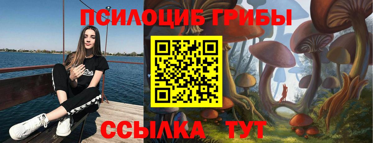 Галлюциногенные грибы мицелий Большой Камень